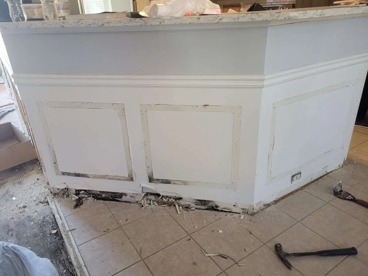 Water damage and mold on kitchen during Mold Inspection & Testing in Lealman
